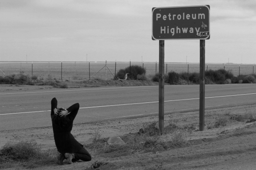 Petroleum-Highway